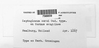 Image Associated With the Occurence